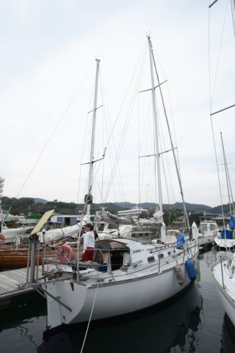 第三回 Wooden Yacht Race in AWAJI - 21世紀の木造艇 WOODY